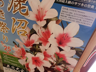 20190524_122639.png